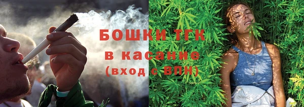 прущие грибы Майский