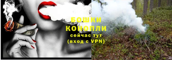 прущие грибы Майский