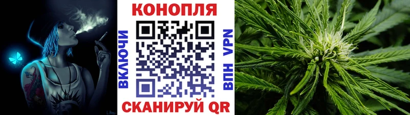 Каннабис сатива  Купить где  Купино 